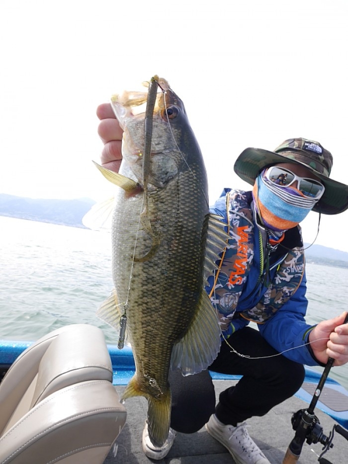 truth ブログ写真 2017/04/21