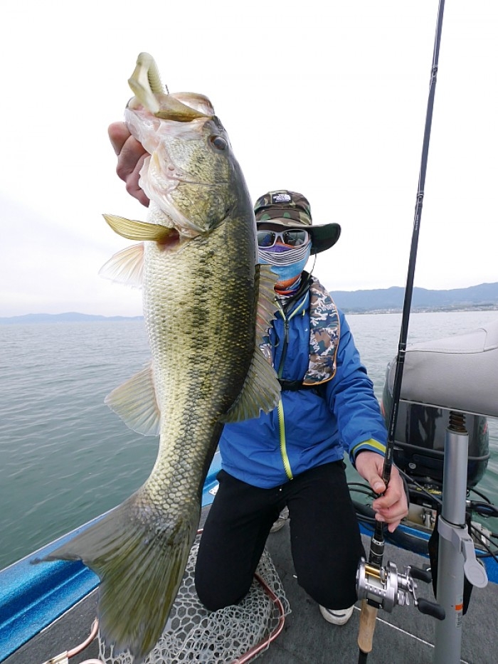 truth ブログ写真 2017/04/21