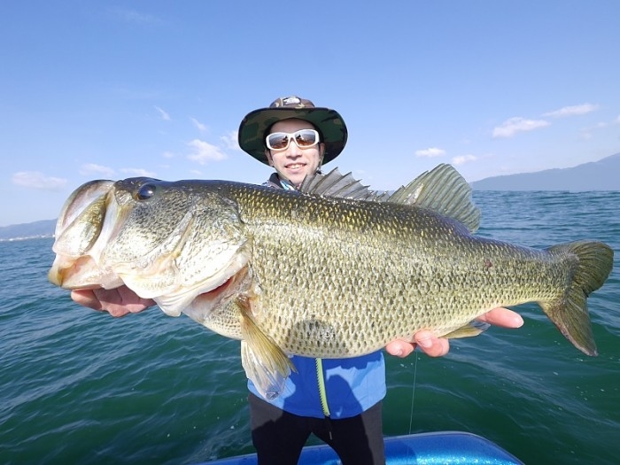 truth 繝悶Ο繧ー蜀咏悄 2017/04/21