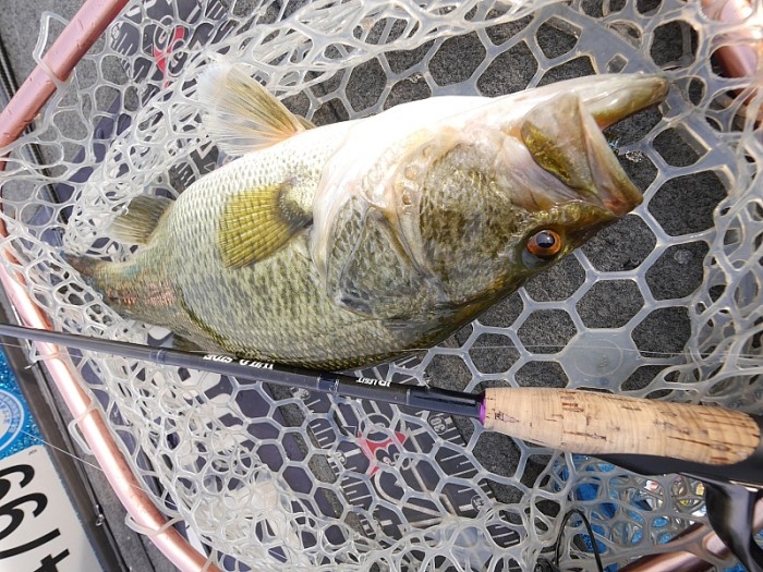 truth  ブログ写真 2017/04/22