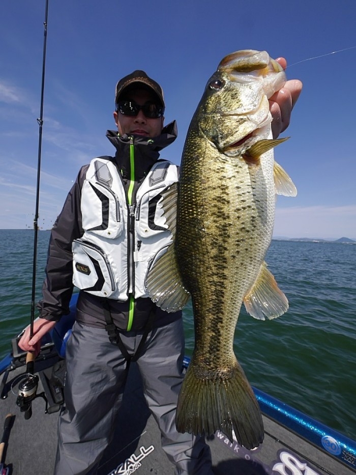 truth  繝悶Ο繧ｰ蜀咏悄 2017/04/22