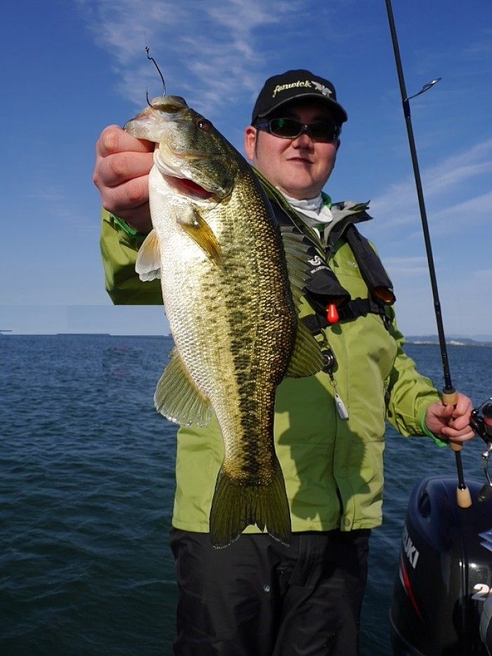 truth  繝悶Ο繧ｰ蜀咏悄 2017/04/22