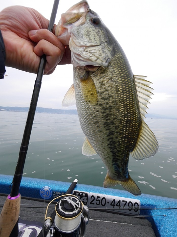 truth  ブログ写真 2017/04/22