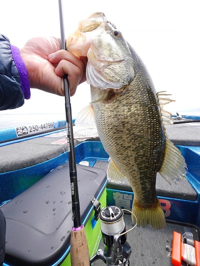 truth  ブログ写真 2017/04/22