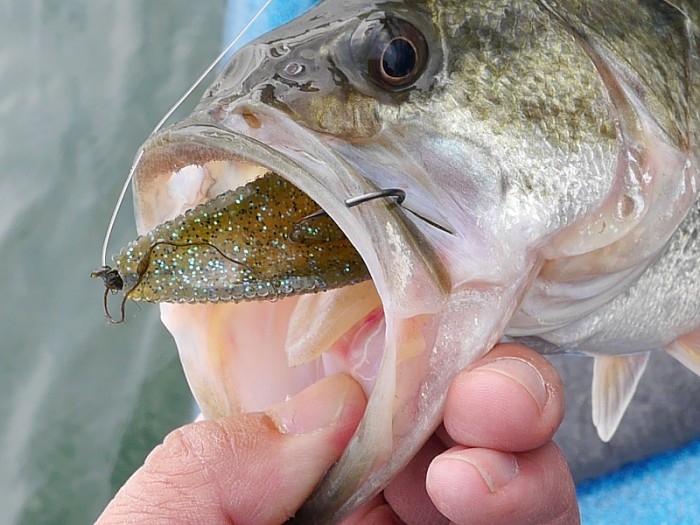 truth  ブログ写真 2017/04/22