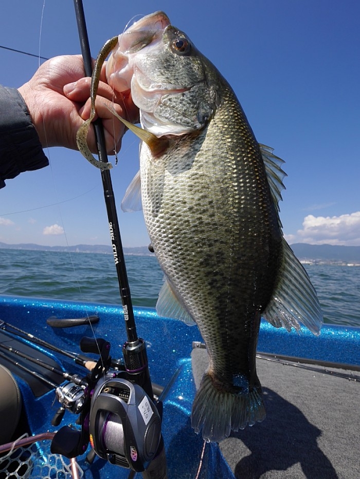 truth  ブログ写真 2017/04/25