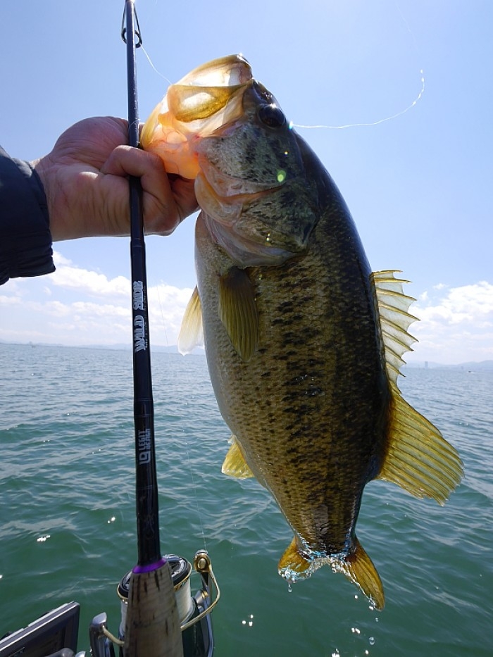 truth  ブログ写真 2017/04/25