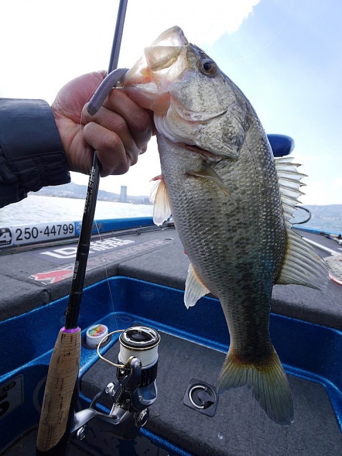 truth  ブログ写真 2017/04/25