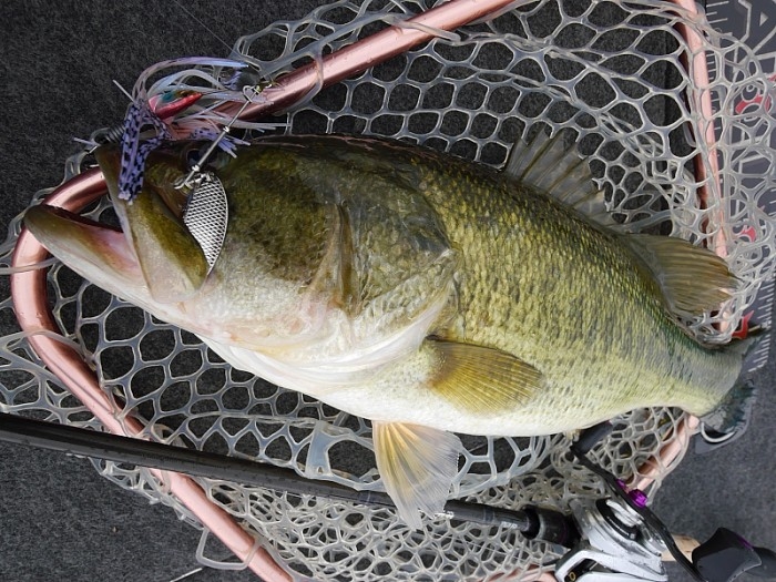 truth  ブログ写真 2017/04/26