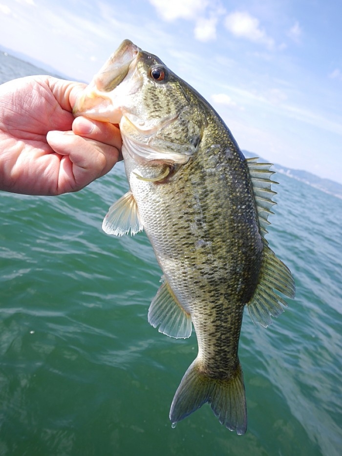 truth  ブログ写真 2017/04/26