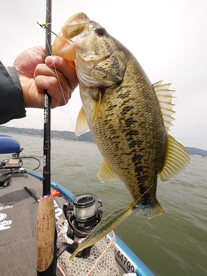 truth  ブログ写真 2017/04/27