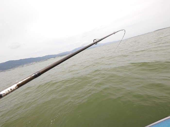 truth  ブログ写真 2017/04/27