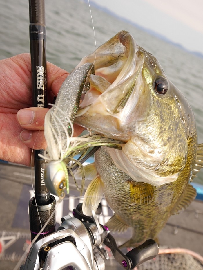 truth  ブログ写真 2017/04/27