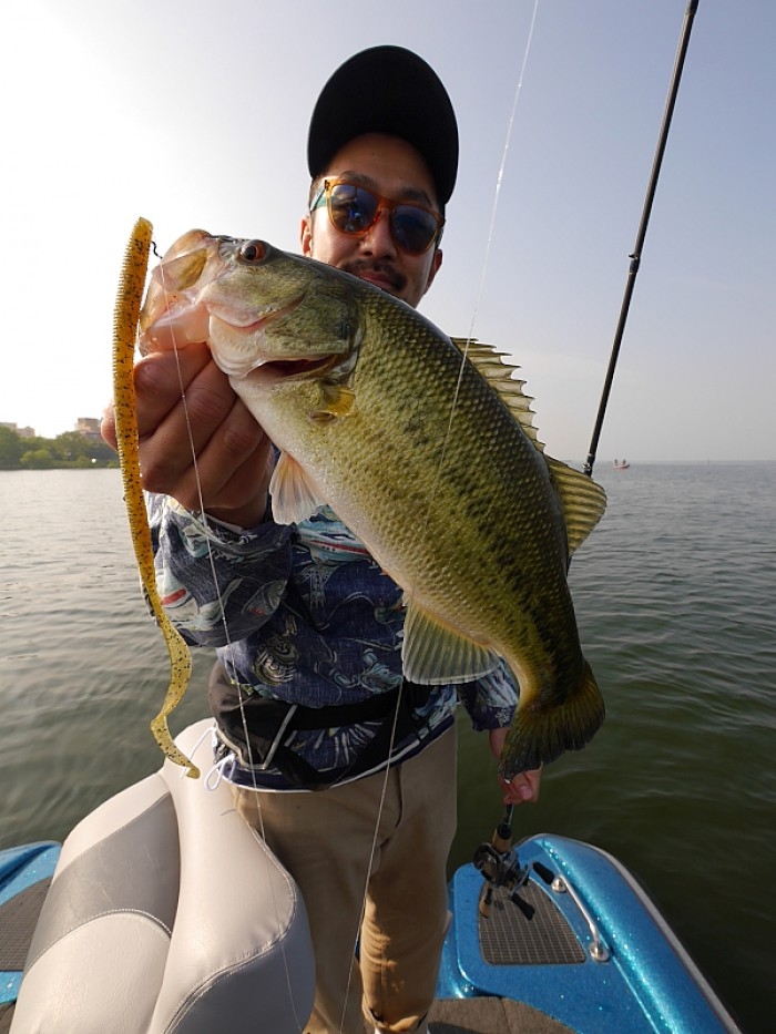 truth  ブログ写真 2017/05/12