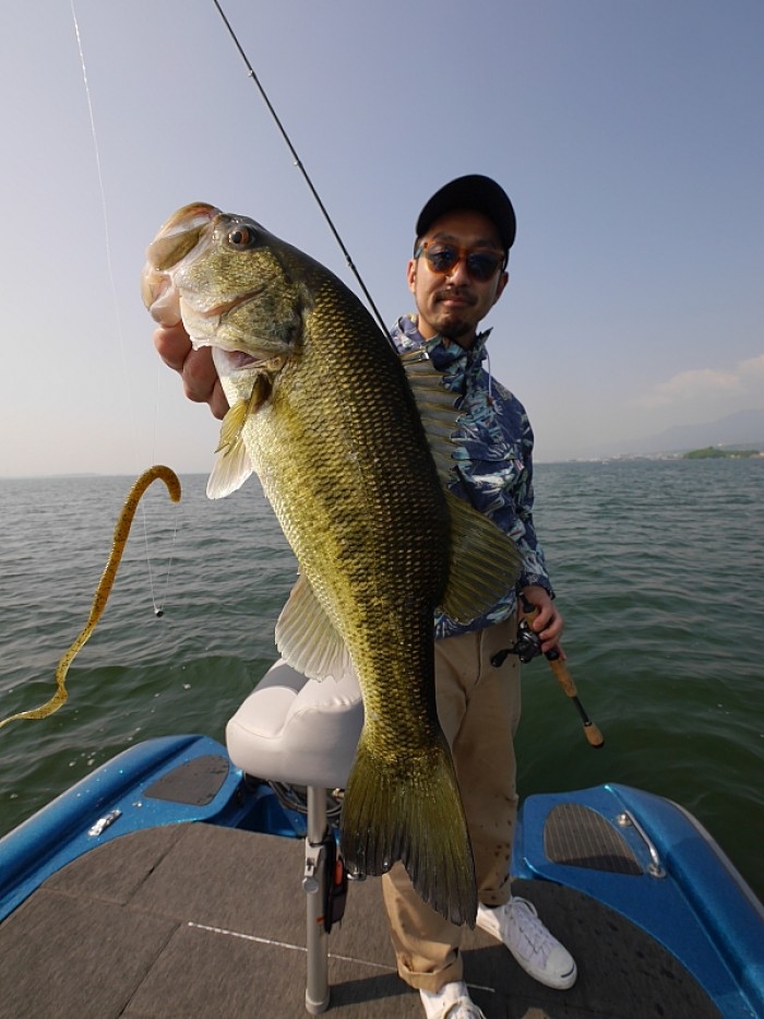 truth  ブログ写真 2017/05/12