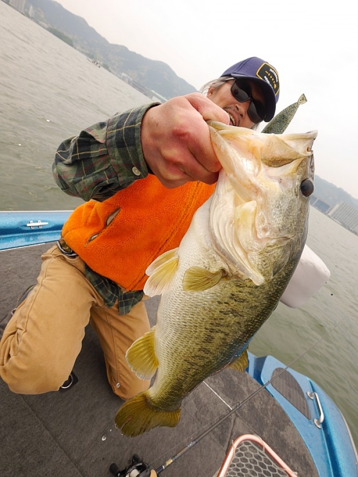 truth  ブログ写真 2017/05/12