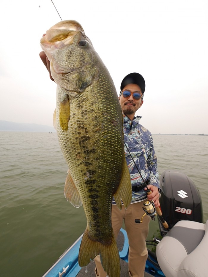 truth  ブログ写真 2017/05/12