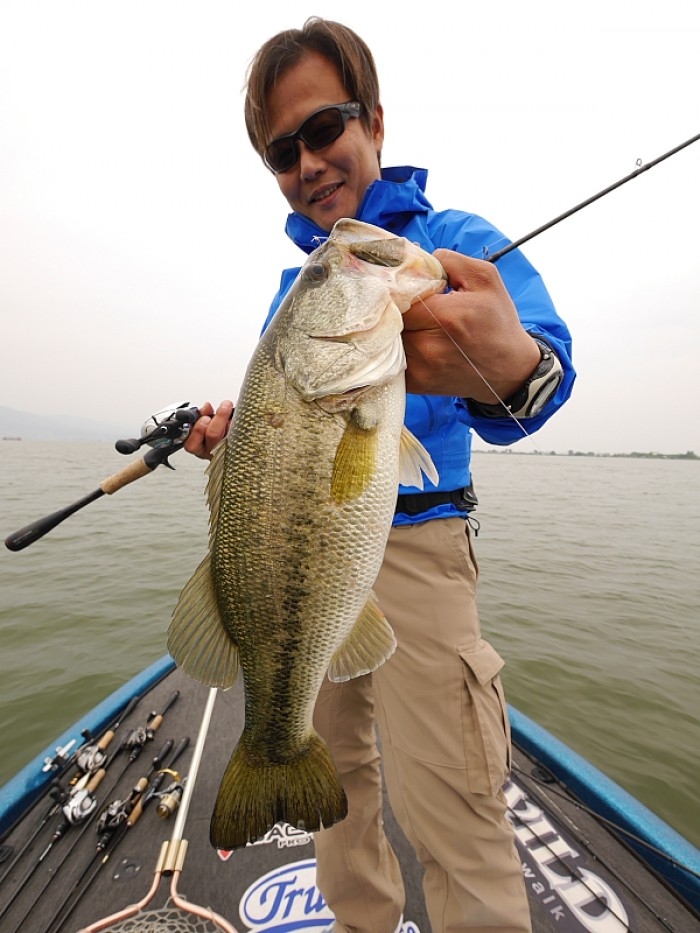 truth  ブログ写真 2017/05/12