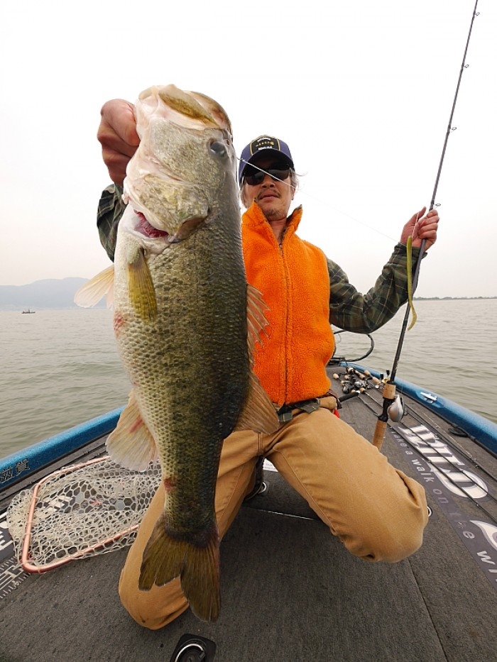 truth  ブログ写真 2017/05/12