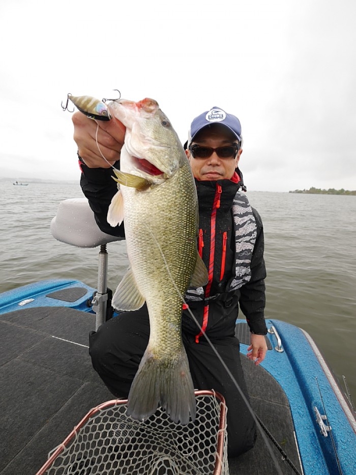 truth  ブログ写真 2017/05/14