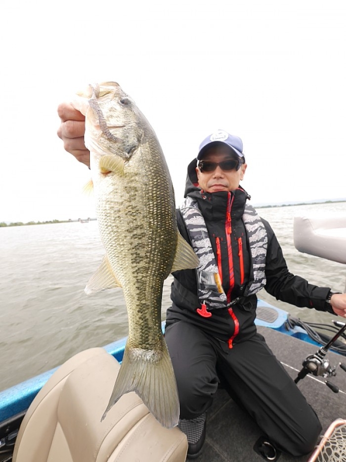 truth  ブログ写真 2017/05/14