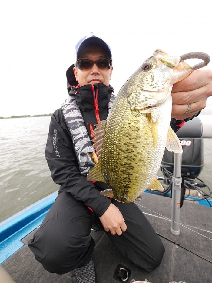 truth  ブログ写真 2017/05/14