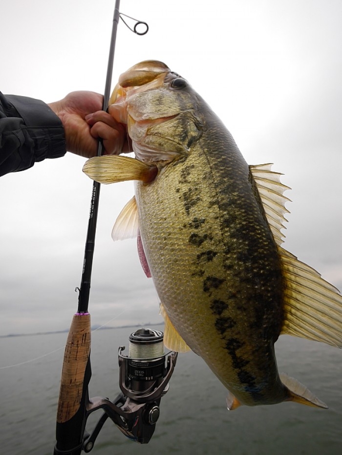 truth  ブログ写真 2017/05/14