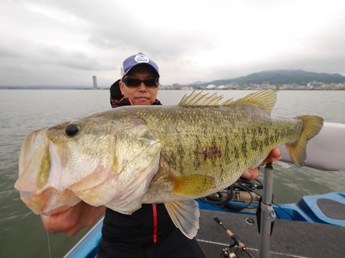 truth  ブログ写真 2017/05/14