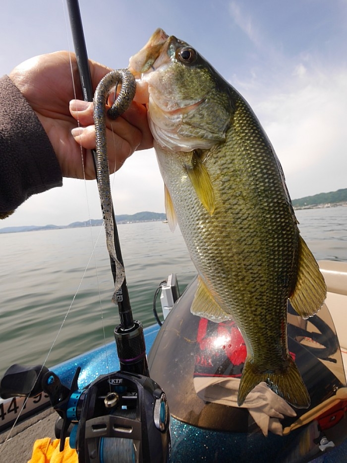 truth  ブログ写真 2017/05/17