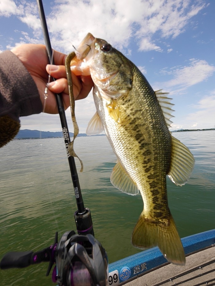 truth  ブログ写真 2017/05/17