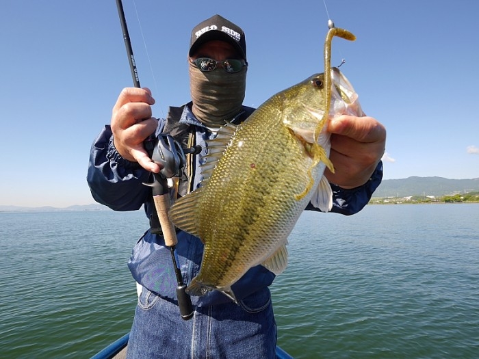 truth ブログ写真 2017/05/19