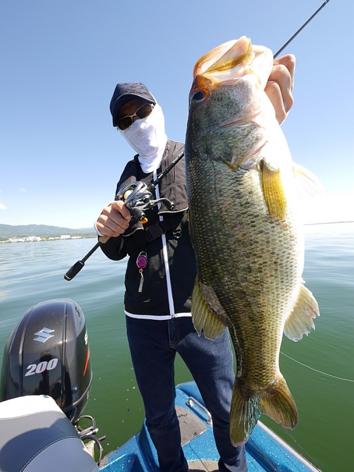 truth ブログ写真 2017/05/19