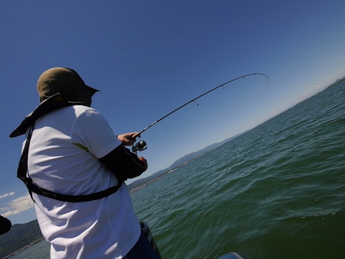 truth ブログ写真 2017/05/19