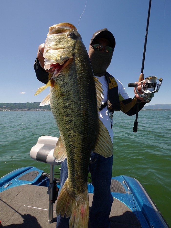 truth ブログ写真 2017/05/19