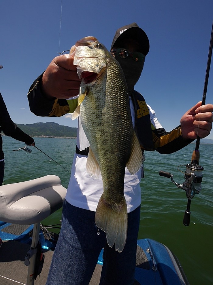 truth ブログ写真 2017/05/19