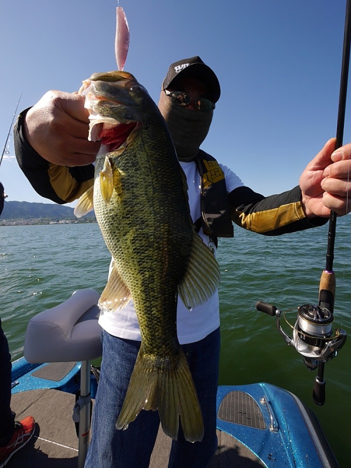 truth ブログ写真 2017/05/19