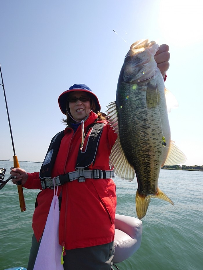 truth ブログ写真 2017/05/20