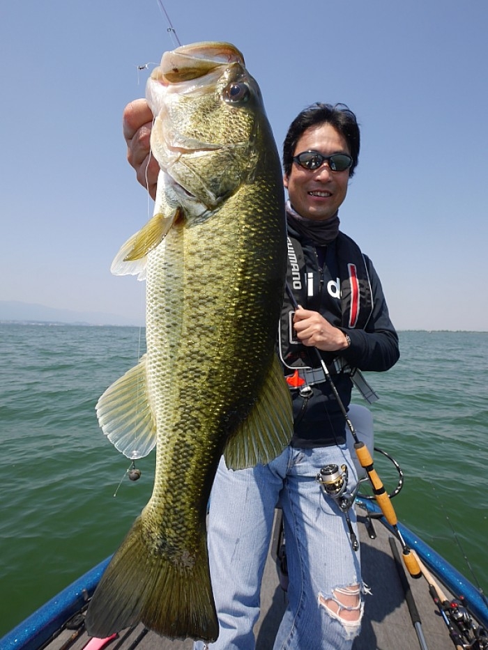 truth ブログ写真 2017/05/20