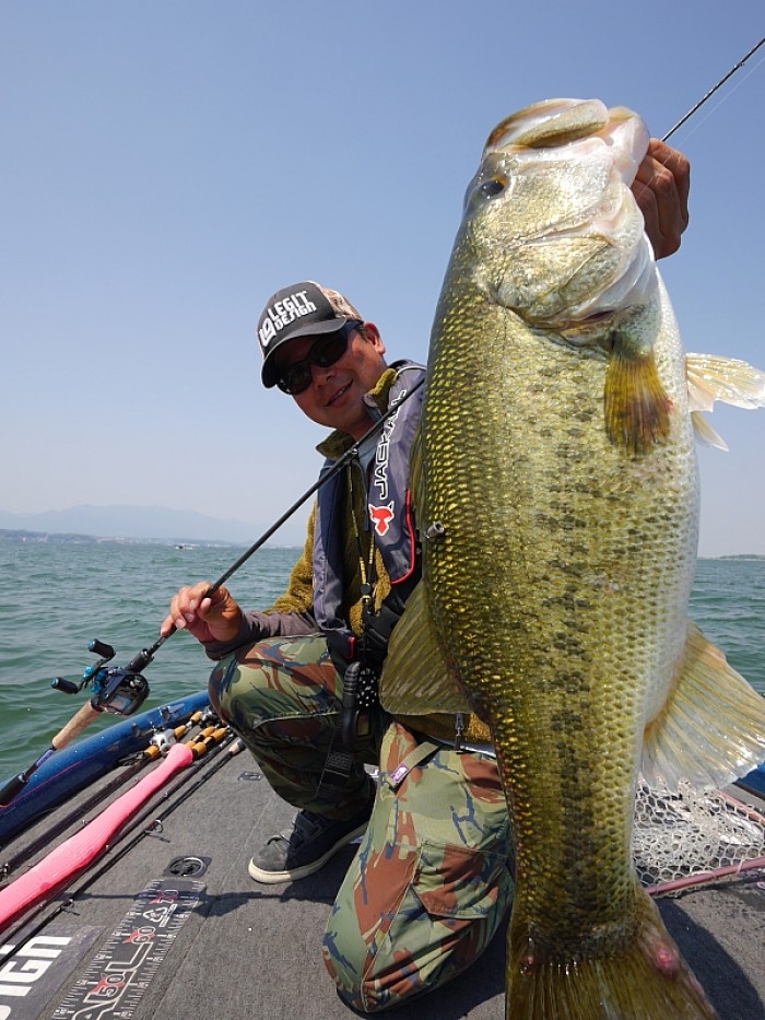 truth ブログ写真 2017/05/20