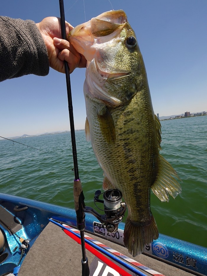 truth ブログ写真 2017/05/20