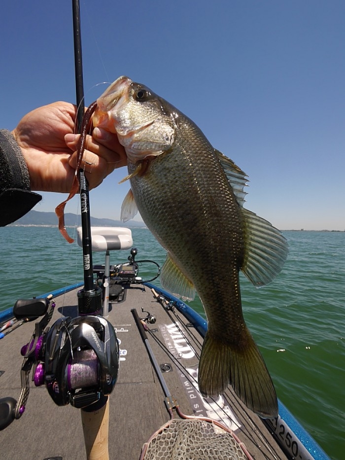 truth ブログ写真 2017/05/20