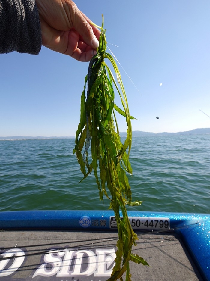 truth ブログ写真 2017/05/20