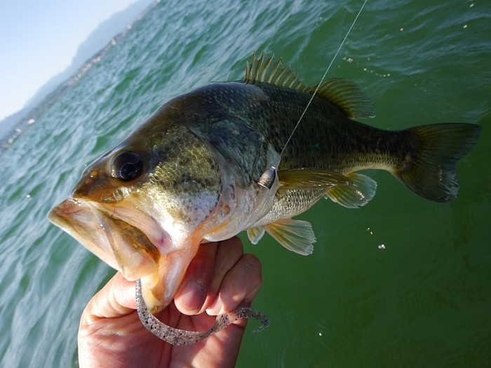 truth ブログ写真 2017/05/20