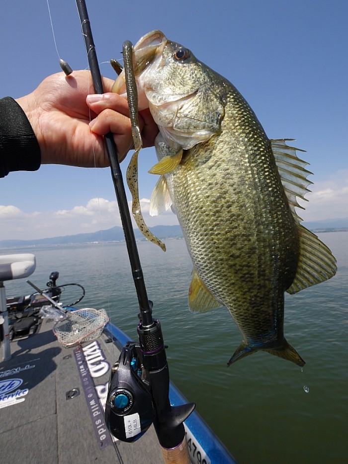 truth  ブログ写真 2017/05/24