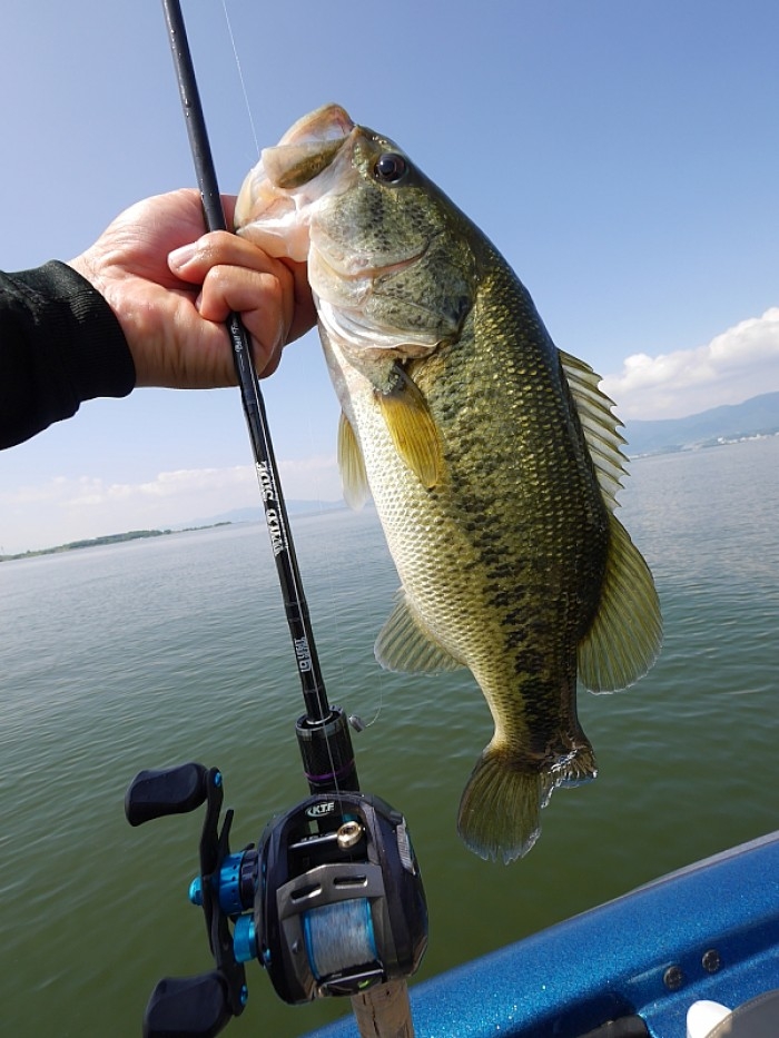 truth  ブログ写真 2017/05/24