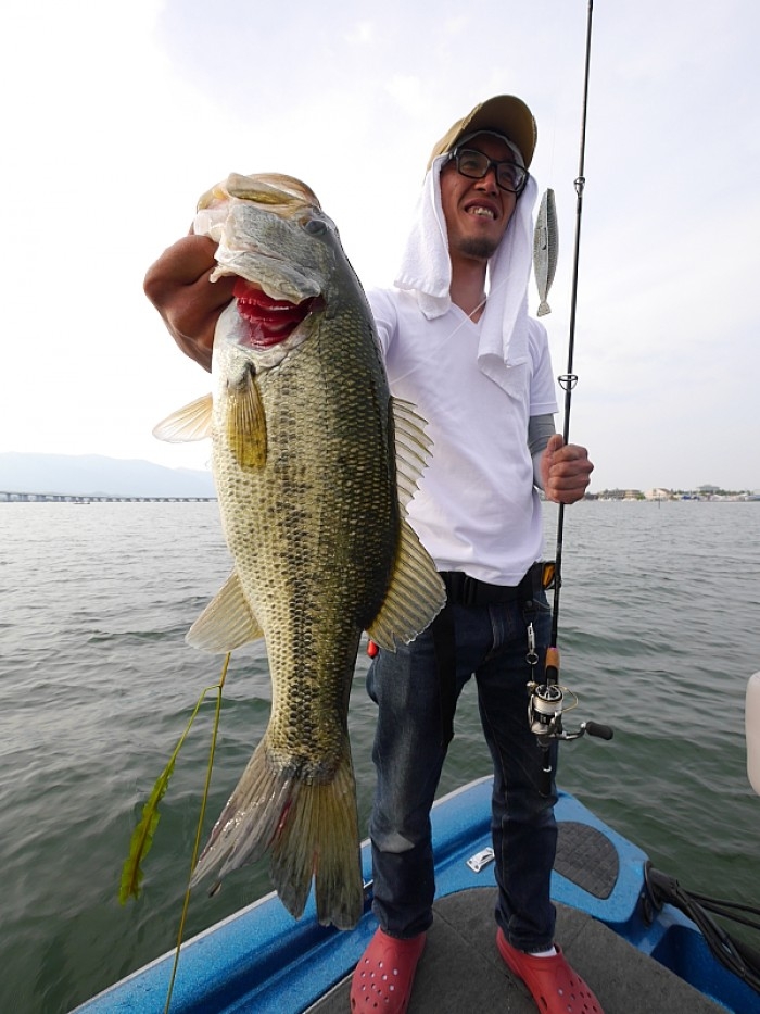 truth  ブログ写真 2017/05/24