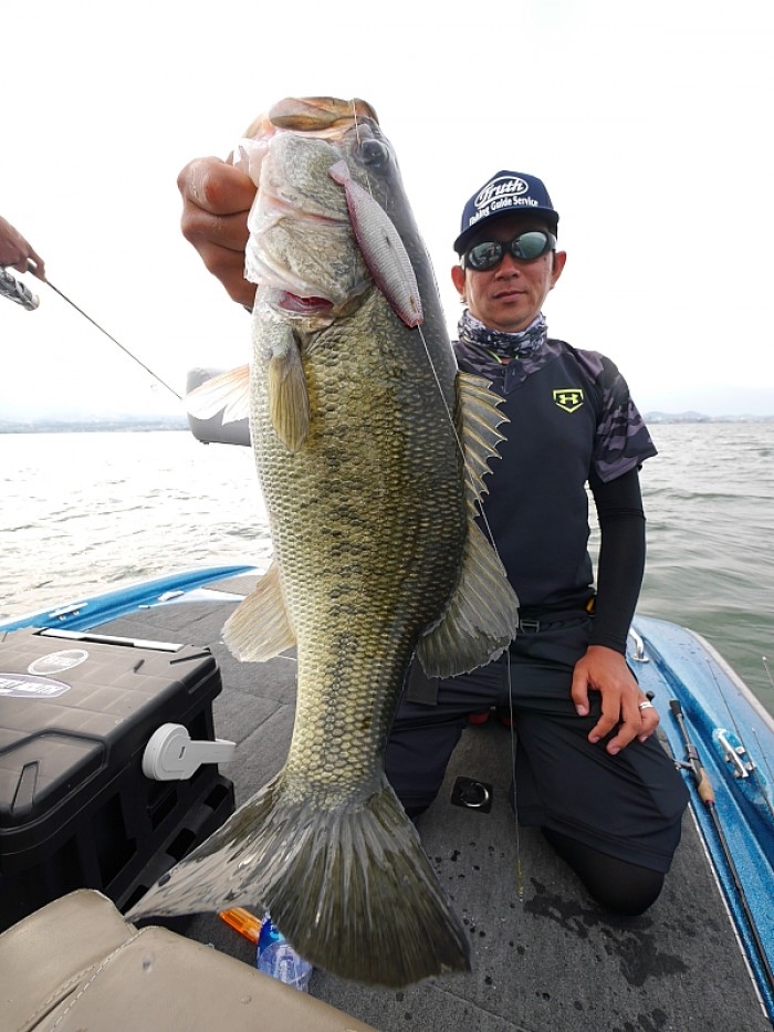 truth  ブログ写真 2017/05/24