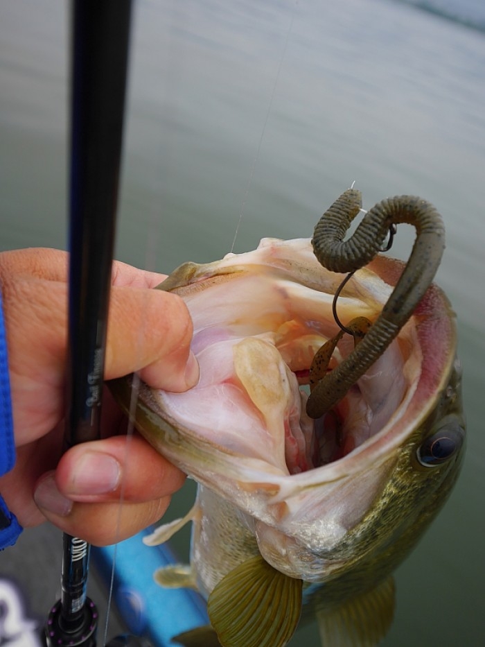 truth  ブログ写真 2017/05/25