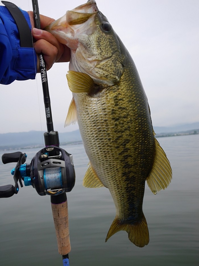 truth  ブログ写真 2017/05/25