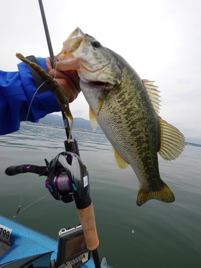 truth  ブログ写真 2017/05/25